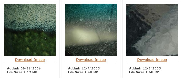 textureking3